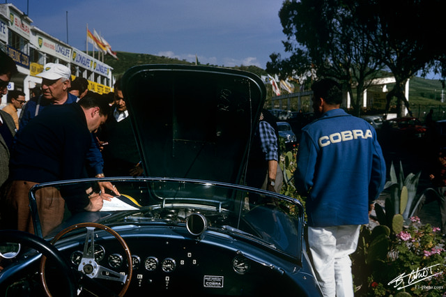 Cobra-Atmosphere_1964_Targa_01_BC.jpg
