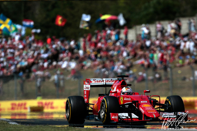 Vettel_2015_Hungary_14_PHC.jpg